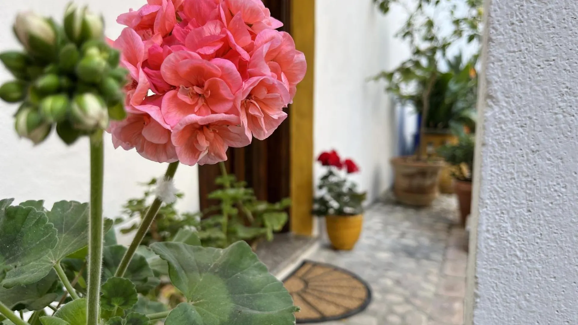 Casa Lia - Independent Apartment In The Gulf Of Orosei Galtellì 0*,